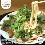こだわりのうどんランチコース 2名様