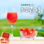 ミディトマト 約4kg