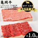 牛肉 亀岡牛 肩ローススライス モモ 焼肉 セット1000g