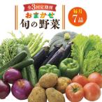 旬の野菜セット 7品