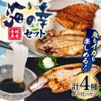 壱岐美食の海の幸セット イカ 干物 みりん干し