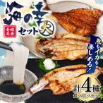 干物 アジ 壱岐美食の海の幸セット 大 壱岐美食企画