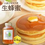 ニホンミツバチ 生蜂蜜 2 400g