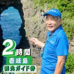 壱岐島内観光ガイド券 2時間程度 15000