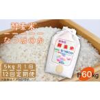 なつほのか 酵素米 5kg
