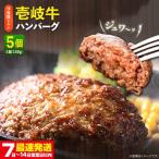 壱岐牛 ハンバーグ 5個