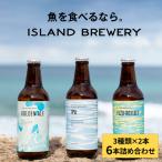 クラフトビール 6本セット JED004