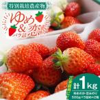 いちご 1kg