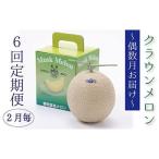 メロン 偶数月 6回 定期便 クラウン 白等級 1玉入