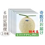 クラウンメロン 白等級 特大玉 マスクメロン