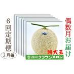 メロン 偶数月 6回 定期便 クラウン 白等級
