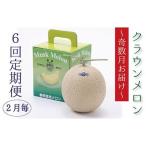メロン 奇数月 6回 定期便 クラウン 白等級 1玉入