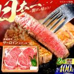 長崎和牛 A5ランク サーロインステーキ 2枚
