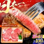 長崎和牛 A5ランク サーロインステーキ 2枚