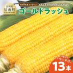 産とうもろこし みやざきフレッシュスイートコーン