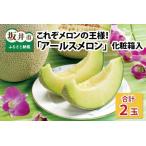 ふるさと納税 【先行予約】これぞメロンの王様！ 「アールスメロン」 2玉 化粧箱入り 【2026年9月中旬以降順次発送予定】【メロン めろん フルー.. 福井県坂井市