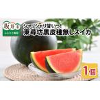 ふるさと納税 【先行予約】 種なし スイカ 6〜10kg × 1玉 大玉サイズ 〜シャリシャリ甘い東尋坊黒皮種なしスイカ〜 【2026年7月中旬以降順.. 福井県坂井市