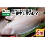 朝市たろうの厳選 一夜干し 笹カレイ 6尾