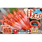 ふるさと納税 海の上で食べる味！漁船直送船内瞬間冷凍 甘えび 約1.1kg【A-2319】 福井県坂井市