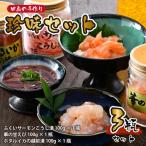 ふくいサーモンこうじ漬 華の甘えび ほたるいか越前漬セット