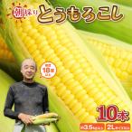 とうもろこし 10本