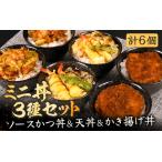 ソースカツ丼 天丼 かき揚げ丼 各2個