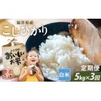 ふるさと納税 【先行予約】【令和8年産・新米】【農家直送定期便 3ヶ月コース】本原農園のまごころコメたコシヒカリ 5kg × 3回 計15kg（白.. 福井県坂井市