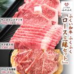 福井のお米で育てた若狭牛 ロース三昧 ~ステーキ