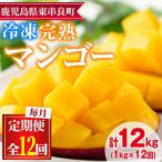 南国の恵み 丸ごと冷凍完熟マンゴー 1kg×12回