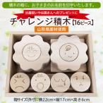 チャレンジ積木 名前印字あり