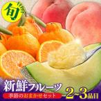 フルーツセット 2-3品目 旬のフルーツ