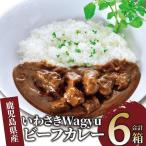 ビーフカレー いわさきWagyuビーフカレー6箱セット