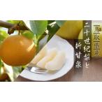 Y020 二十世紀梨と新甘泉のセット 3kg