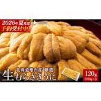 ショッピングふるさと納税 先行予約 ふるさと納税 【先行予約】【厳選PREMIUM】美味しいウニは昆布の名産地にあり!生むらさきうに120g 北海道稚内市