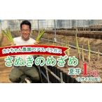 fu.... налог спаржа (.... ...) лето .1kgkato Chan сельское хозяйство . Kagawa префектура ... город 