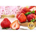 ふるさと納税 【期間限定発送】 いちご 春の苺 あまおう 6パック [南国フルーツ 福岡県 筑紫野市 21760095] 福岡県筑紫野市