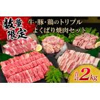 ふるさと納税 数量限定 牛肉 豚肉 鶏肉 トリプル よくばり 焼肉 セット 合計2kg 宮崎牛 ブランド牛 黒毛和牛 国産 食品 高級 贅沢 ご褒美 お祝 .. 宮崎県日南市