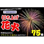 プライベート花火 個人向け打ち上げ花火
