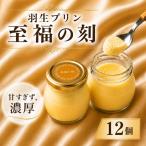 プリン 至福の刻 12個