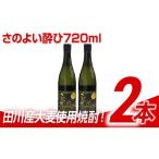麦焼酎 さのよい酔ひ 720ml×2本