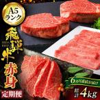 飛騨牛 赤身コース A5ランク 赤身飛騨牛