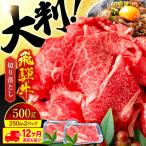 飛騨牛 切り落とし 500g