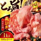 飛騨牛牛すじ 1kg