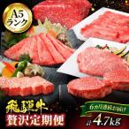 飛騨牛 贅沢定期便コース 和牛 サーロインステーキ