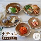 食器5点セット ナチュレ シナモン 食器 皿