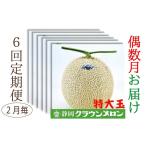 クラウンメロン特大玉1玉入