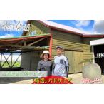 メロン 富良野産 赤肉メロン 厳選大玉 松本農園