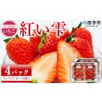 2025年発送 イチゴ 果物 フルーツ ストロベリー
