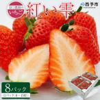 谷口農園のいちご 紅い雫 8パック