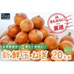 ショッピングふるさと納税 玉ねぎ ふるさと納税 JAきたみらいから直送する甘くて美味しい新鮮玉ねぎ 20kg Lサイズ【104-0008-2025】 北海道北見市